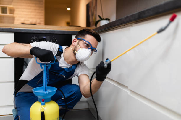 Pest Control for Restaurants in Pleasant View, UT