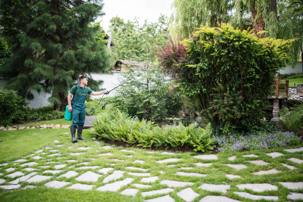 Best Pest Inspection Near Me  in Pleasant View, UT