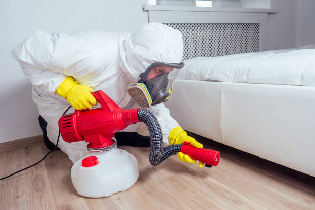 Best Pest Control Near Me in Pleasant View, UT