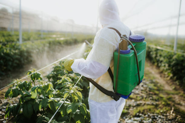 Pest Control Cost in Pleasant View, UT